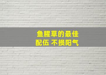 鱼腥草的最佳配伍 不损阳气